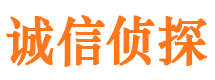 芦淞市私家侦探